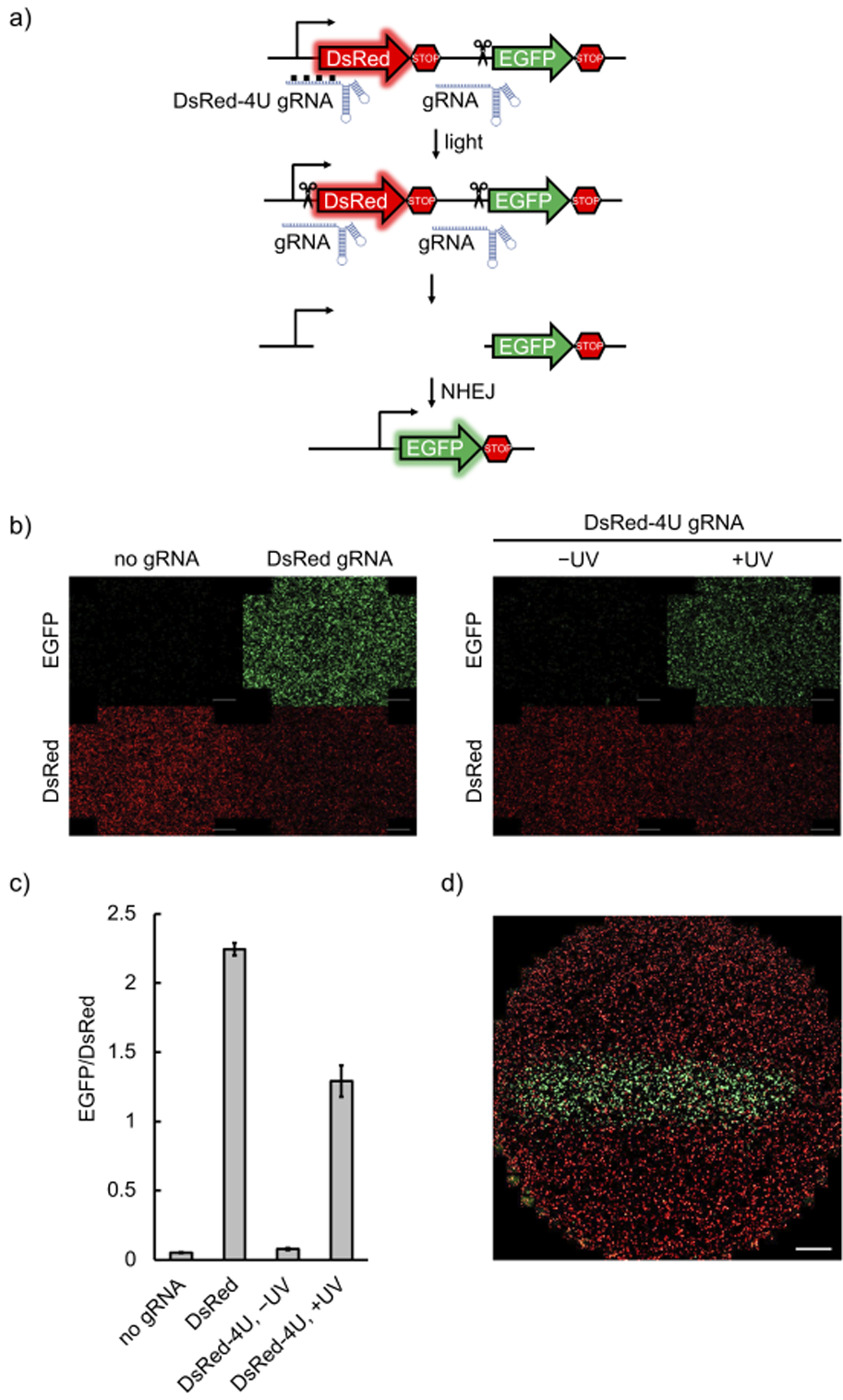 Figure 2.