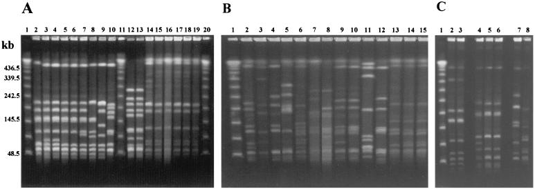 FIG. 1