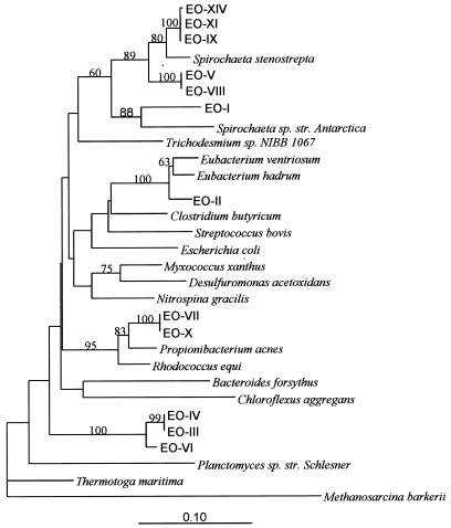 FIG. 6