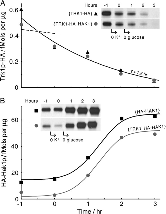 Fig 10