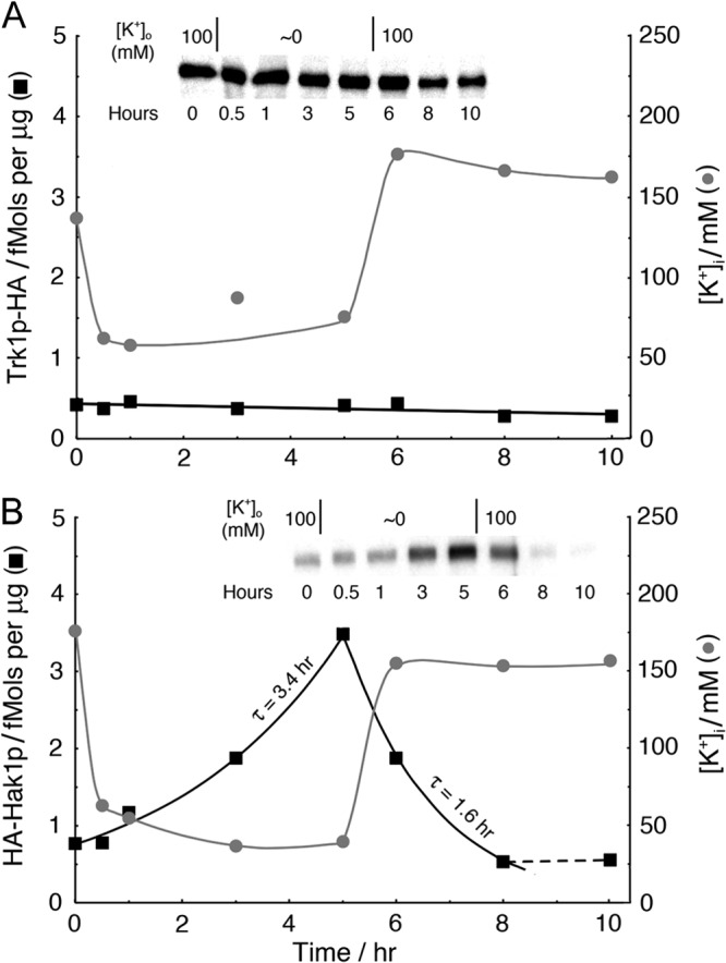 Fig 7