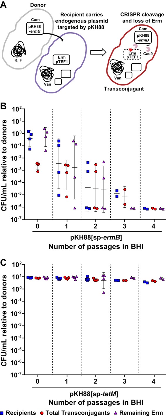 FIG 2