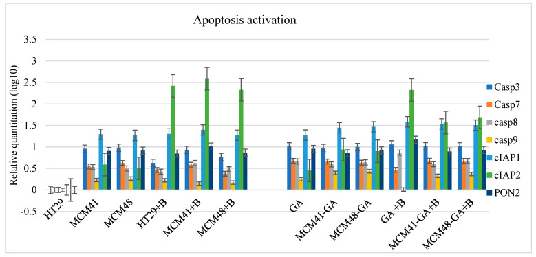 Figure 13