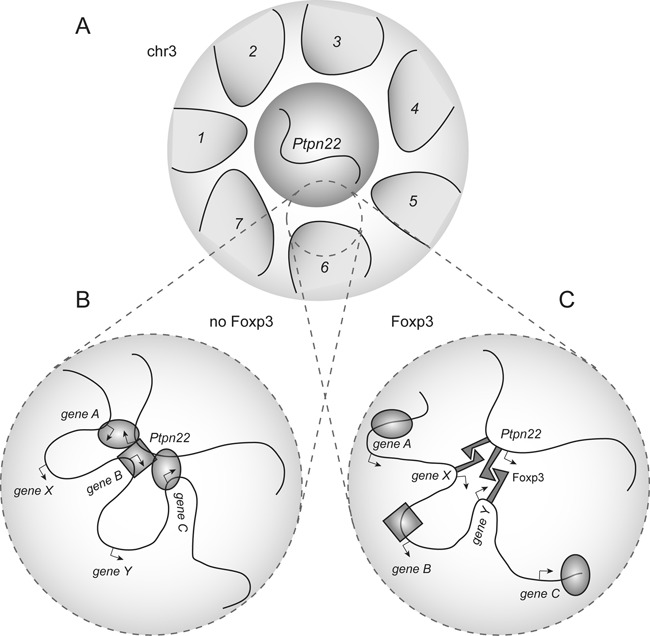 Figure 7.