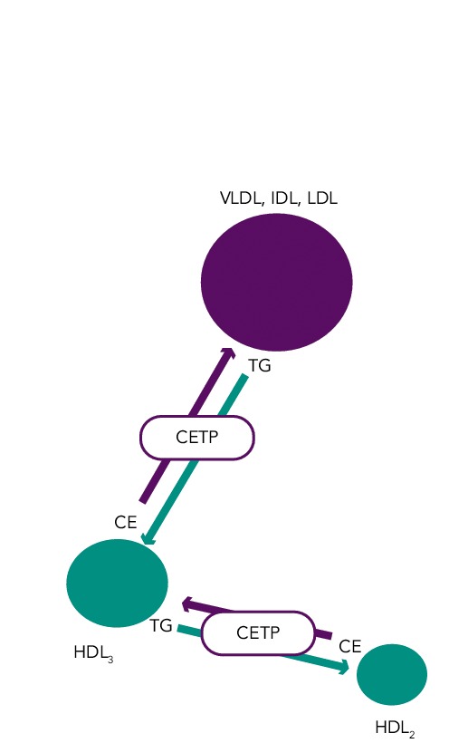 Figure 1: