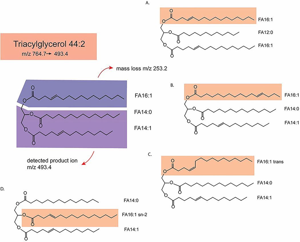 Figure 2: