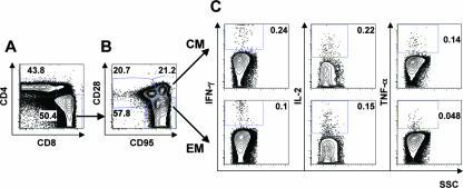 FIG. 4.