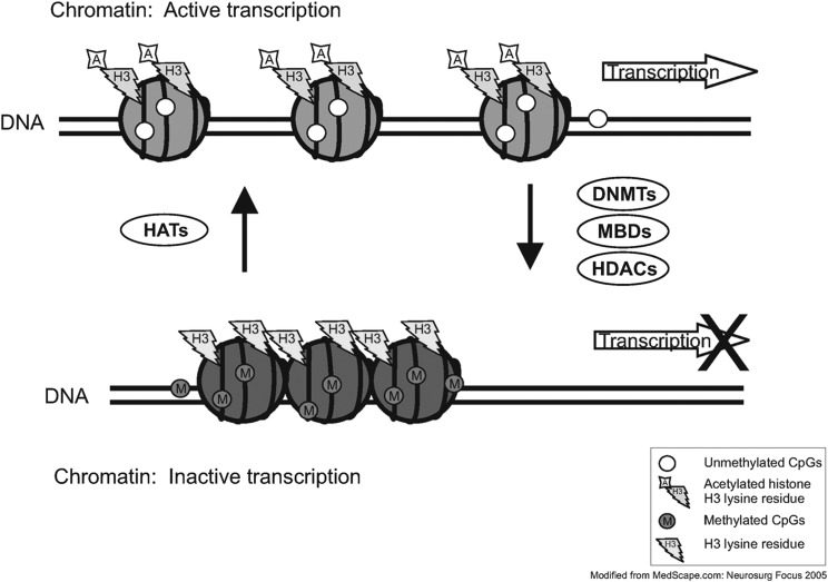 Figure 2.