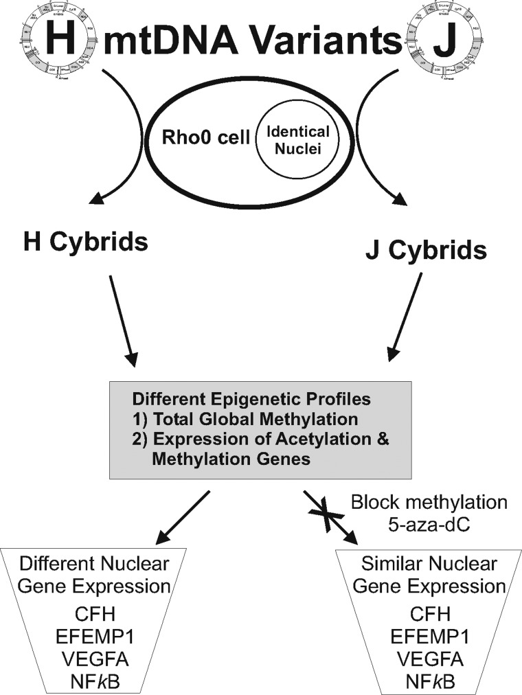 Figure 3.