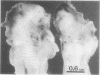 88