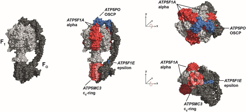 Figure 1: