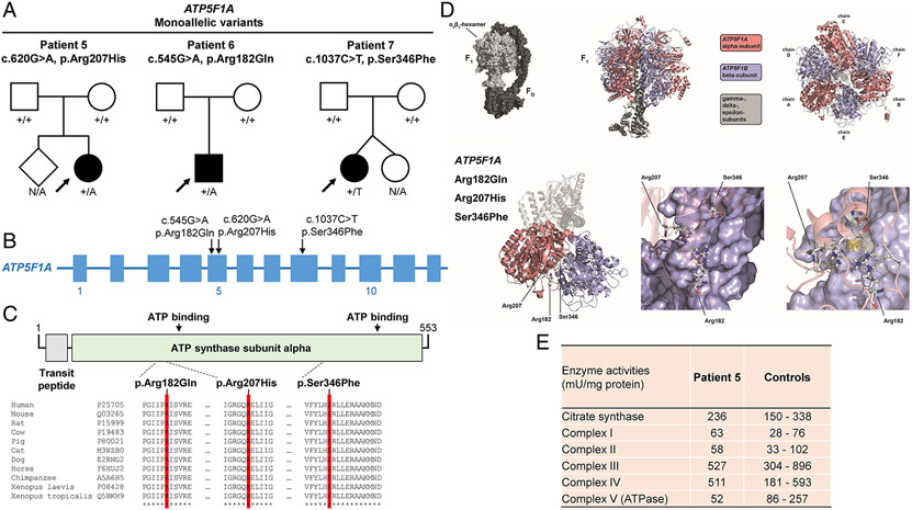 Figure 4: