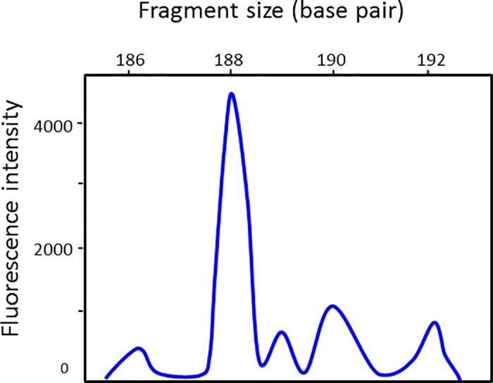 Fig 6