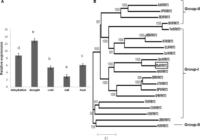 FIGURE 1