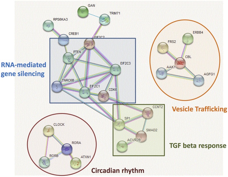 Fig 2