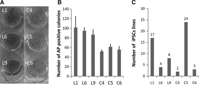 FIG. 1.