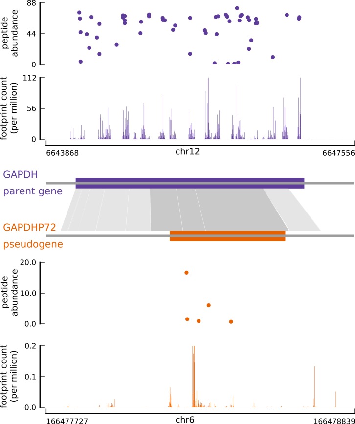 Figure 3—figure supplement 1.