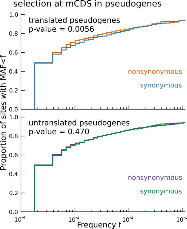 Figure 5—figure supplement 1.