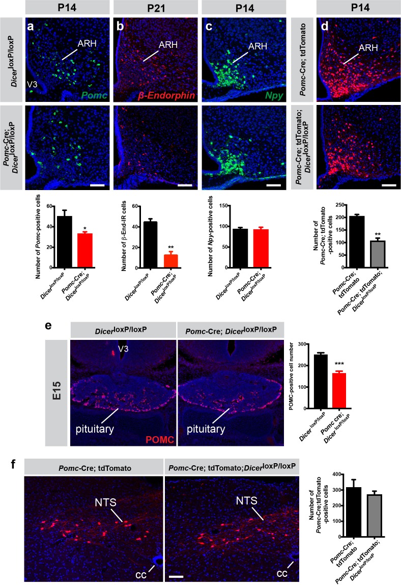 Figure 2—figure supplement 1.