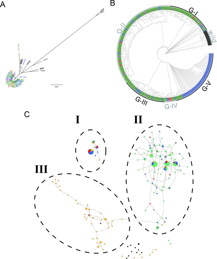 Fig 2