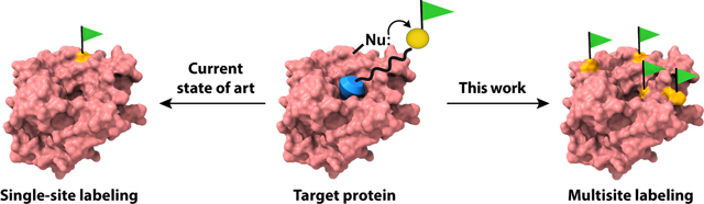 graphic file with name nihms-1913154-f0001.jpg