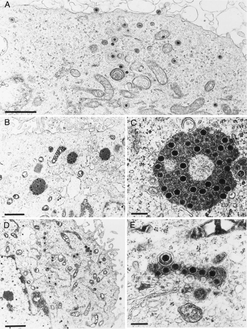 FIG. 7