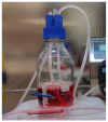 Figure 11