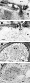 FIG.2.