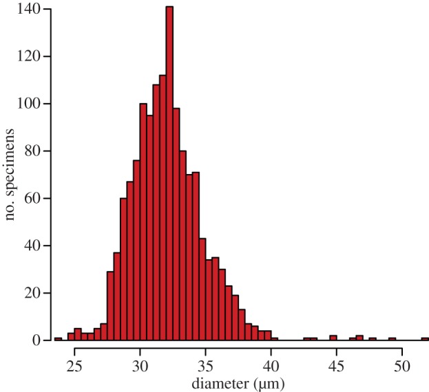 Figure 3.