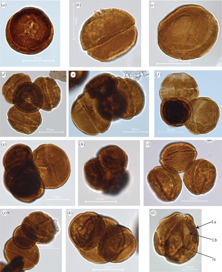 Figure 2.