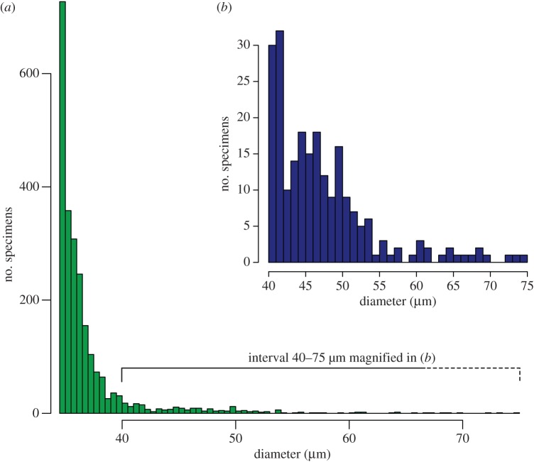 Figure 4.