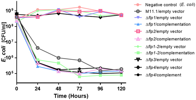 Figure 5