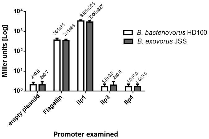 Figure 7