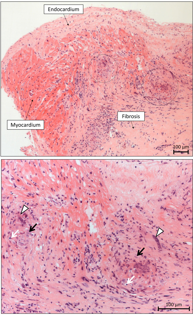 Fig. 4.