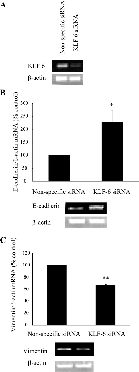 Fig. 9.