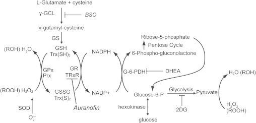 Fig. 1