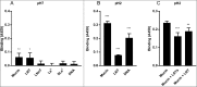 Figure 10.