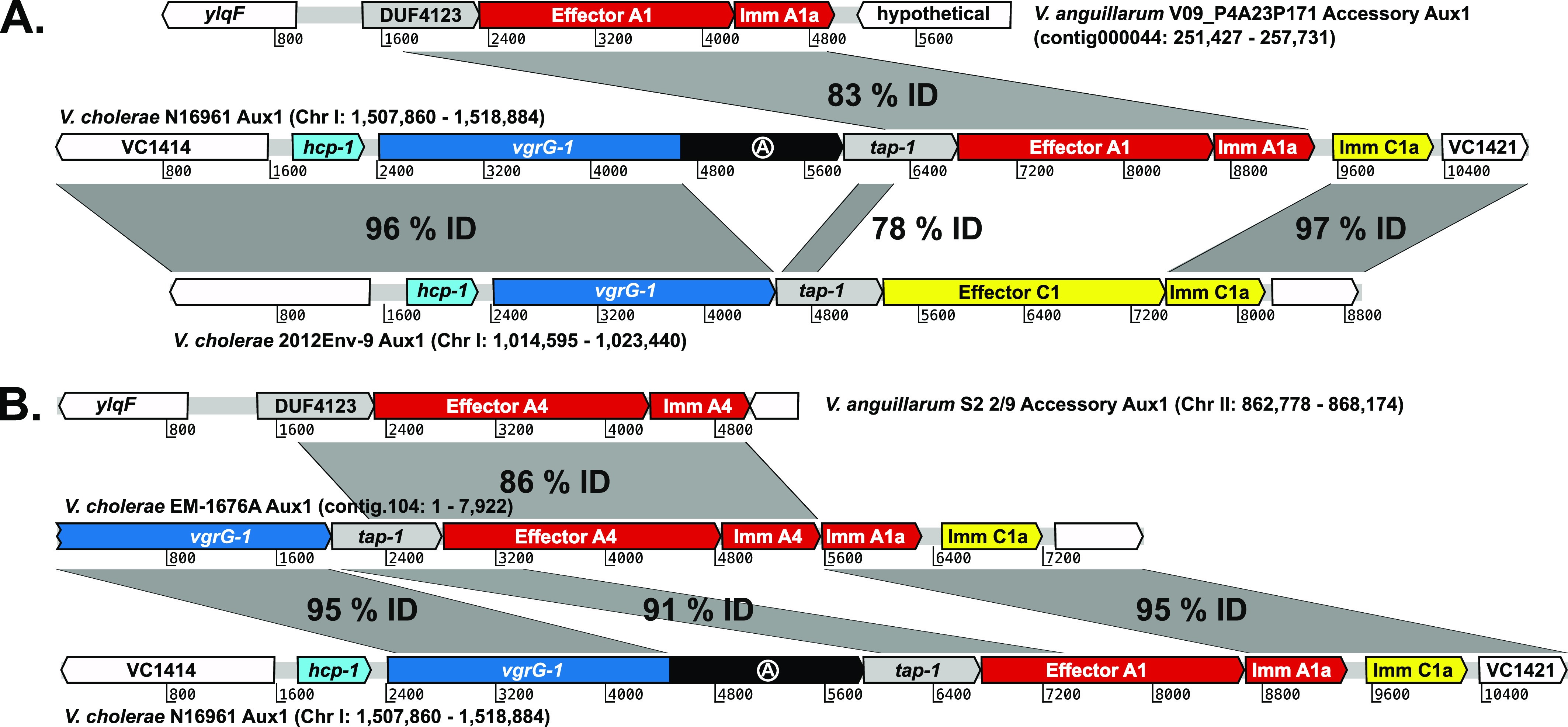 Figure 4.