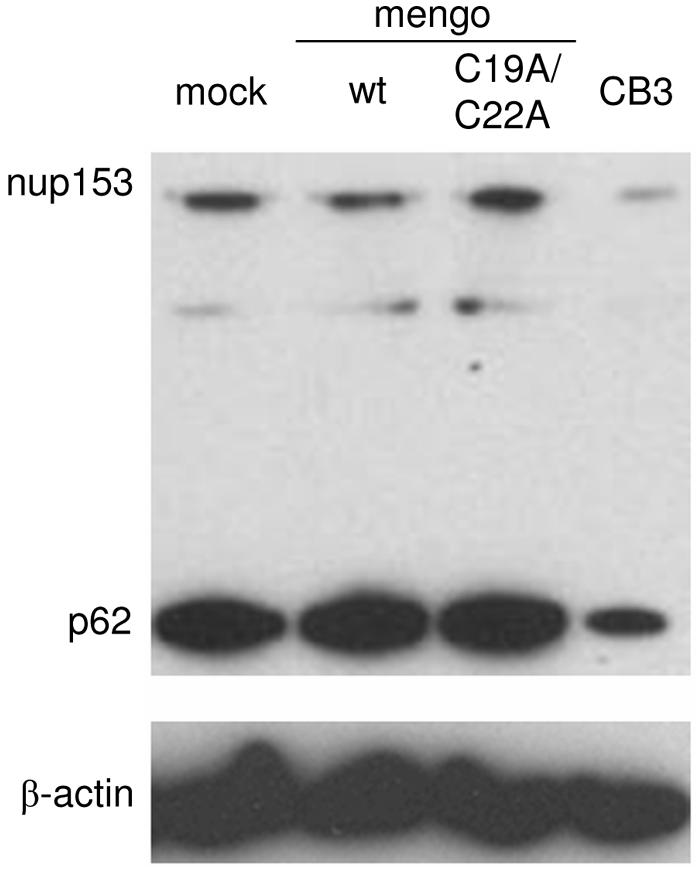 FIG. 12.