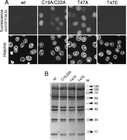 FIG. 9.