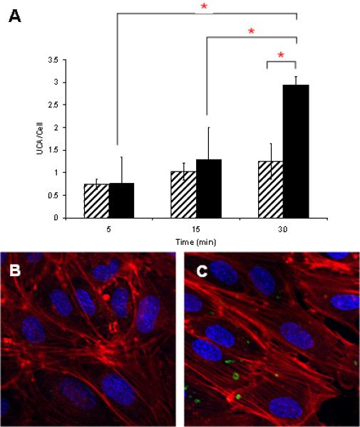 Fig3