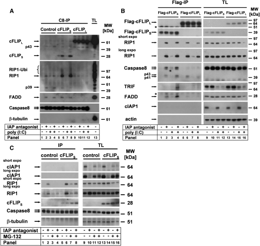 Figure 6