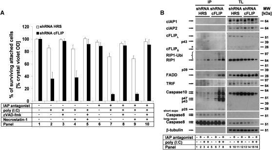 Figure 3