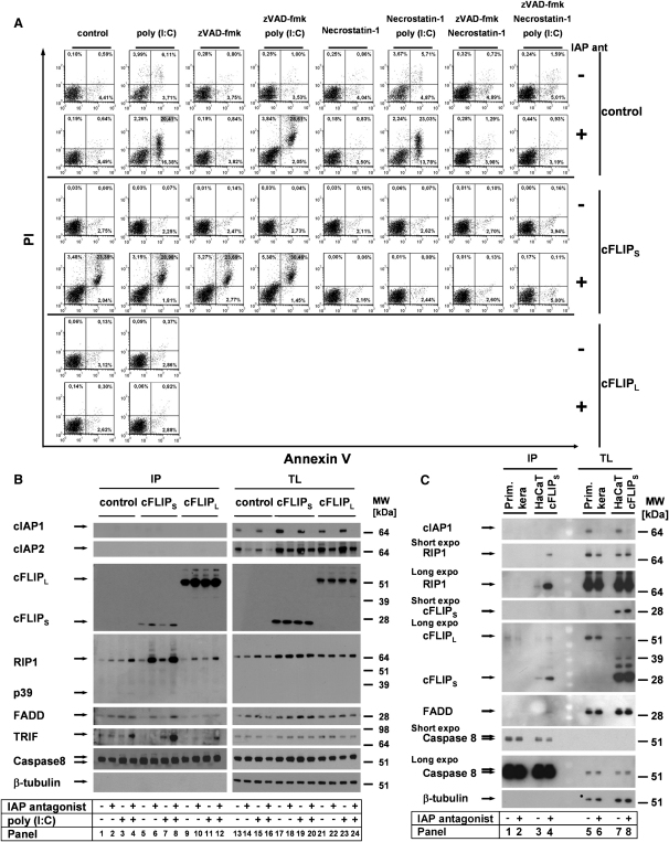 Figure 4