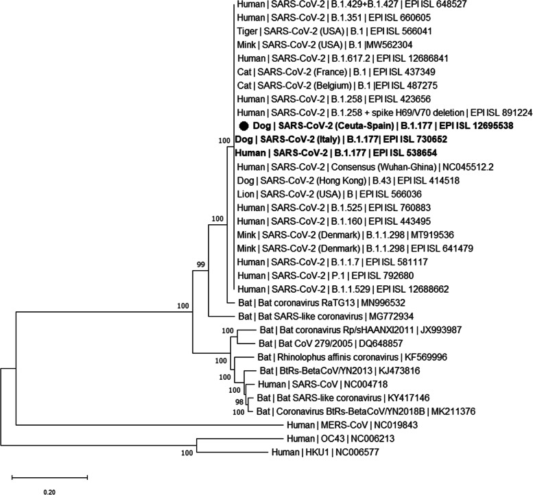 Fig. 3