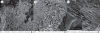 Figure 4.