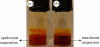 Figure 2.
