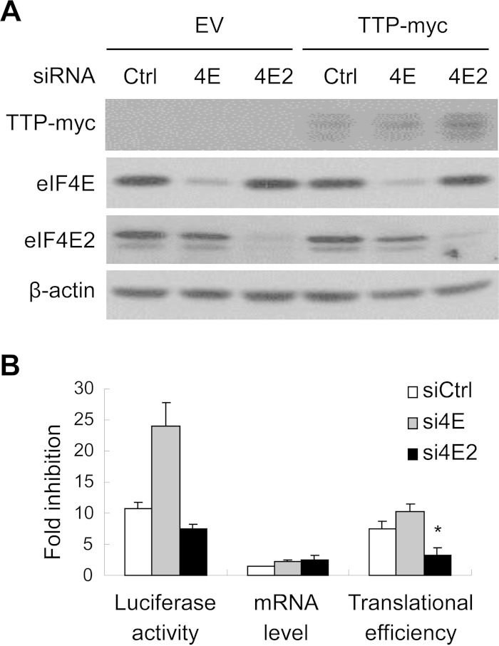 FIG 4