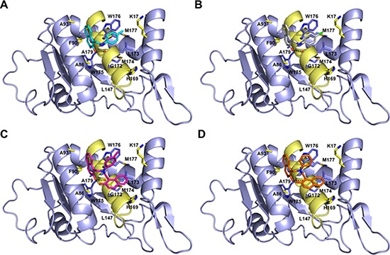 Figure 7