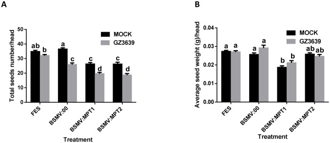 Fig 6